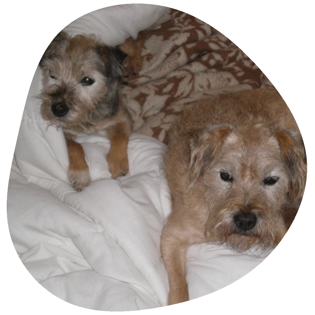 Pet Sitting